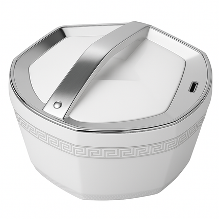 Hot pot Voedsel verwarmer Luxe RVS Voedselcontainers